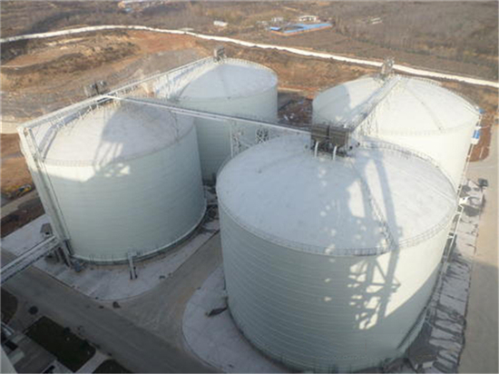 宁波2万吨钢板仓